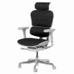 Ергономичен стол ERGOHUMAN ELITE 2 - сива рамка - черен - Image 4