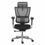 Ергономичен стол ERGOHUMAN IOO ELITE 2 - черна рамка - черен - Image 2