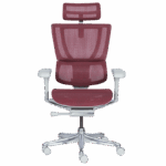 Ергономичен стол ERGOHUMAN IOO ELITE 2 - сива рамка - червен - Image 2