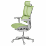 Ергономичен стол ERGOHUMAN IOO ELITE 2 - сива рамка - зелен - Image 4
