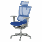 Ергономичен стол ERGOHUMAN IOO ULTRA - сива рамка - син - Image 4